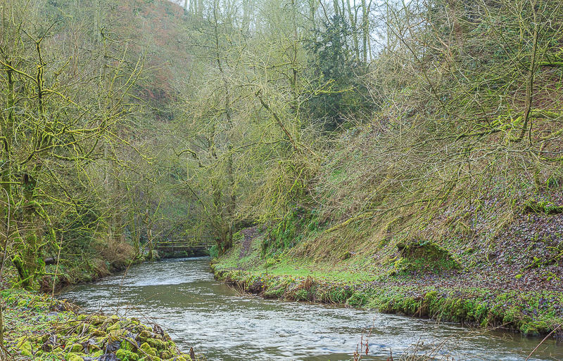 River Dove River Dove